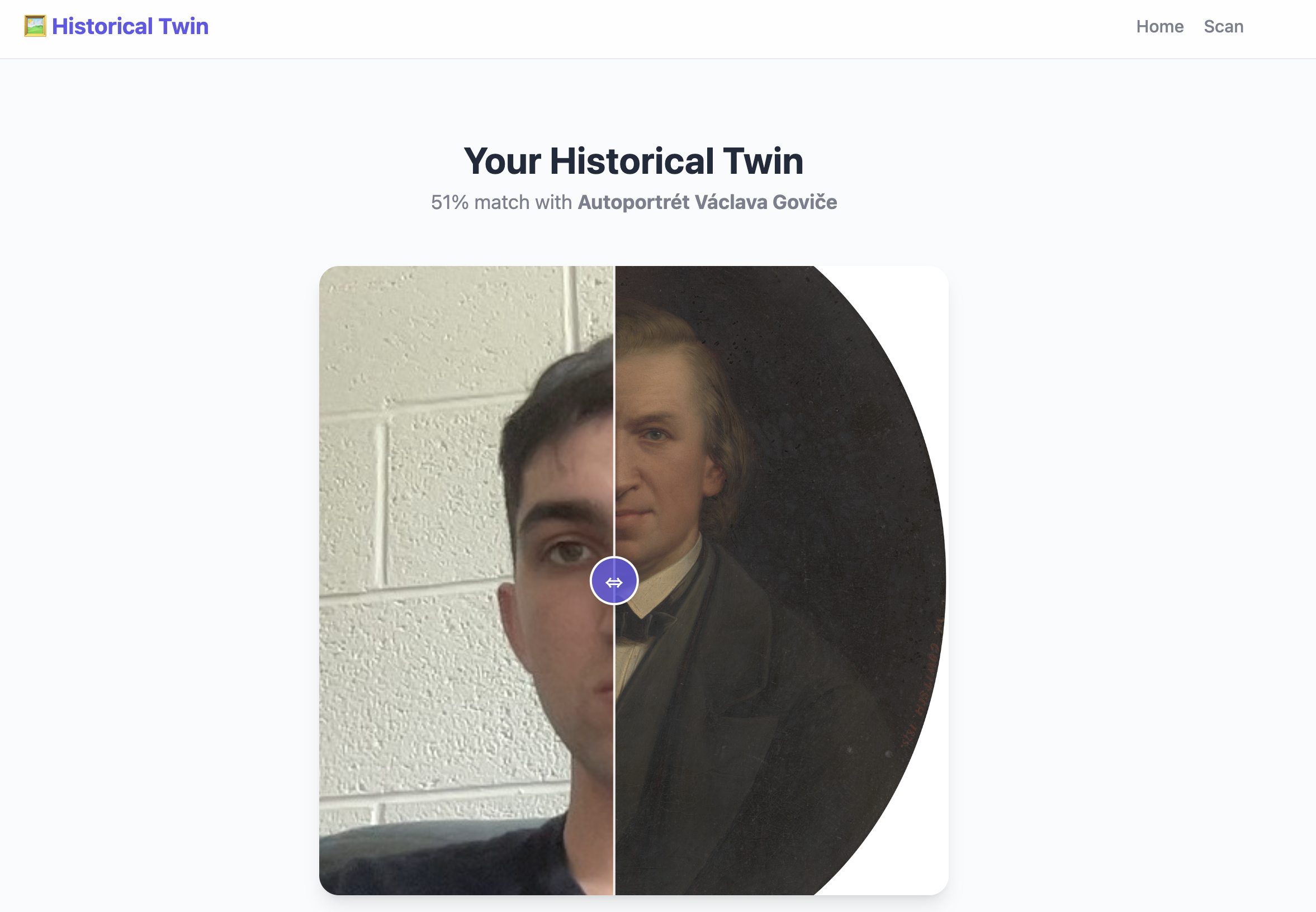 AI Facial Similarity Match View